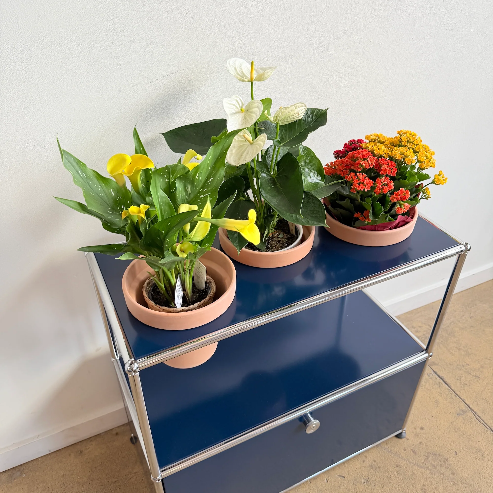 USM Haller 1X2 Planter - Steel Blue - Image 4